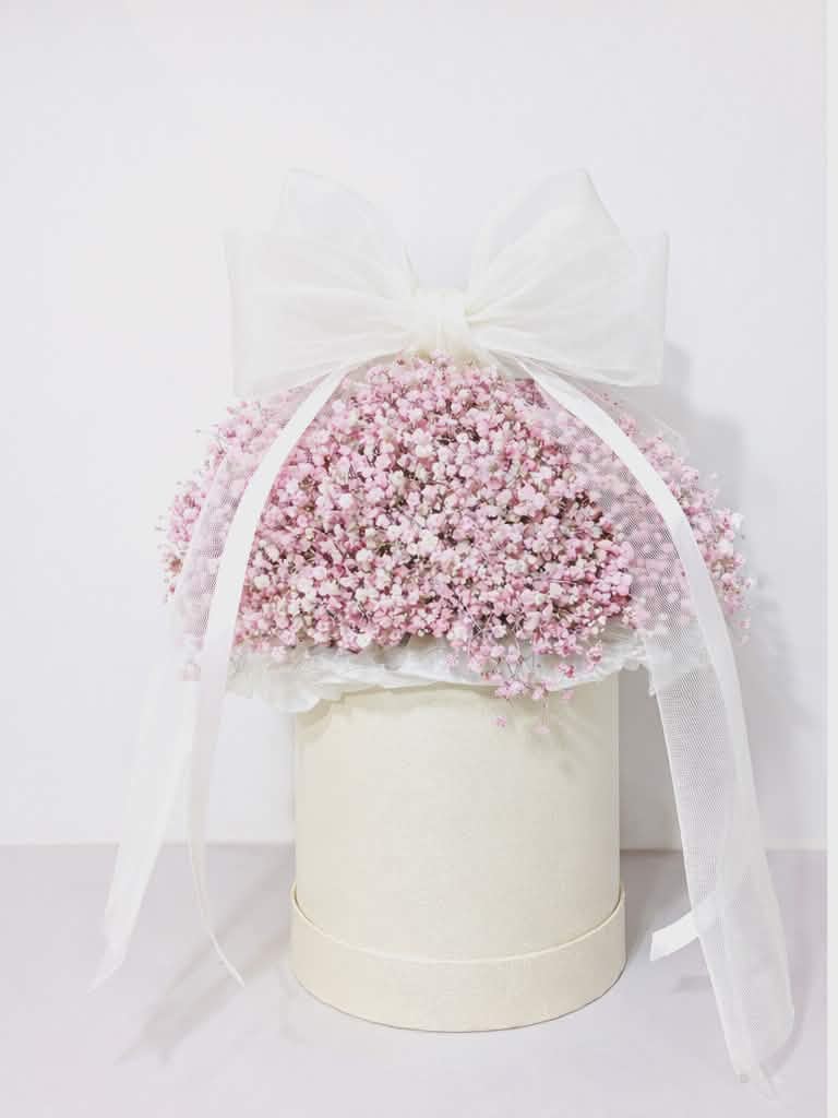 Flower boxy - gipsówka