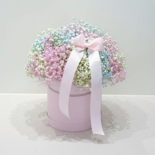 Flower box z gipsówką Rainbow w pudełku – Zielona Przystań. Mobilna kwiaciarnia